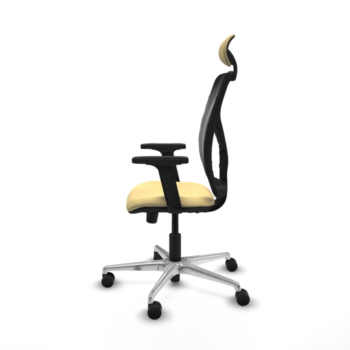PIQUERAS Y CRESPO Silla de oficina Motilla con mecanismo Sincro/Traslack, Crema y Negro PIQUERAS Y CRESPO Silla de oficina Motilla con mecanismo Sincro/Traslack, Crema y Negro