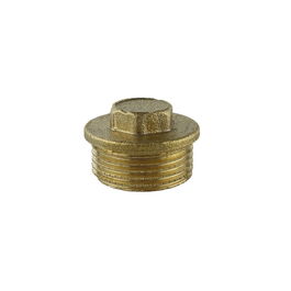 Aqua Control Tapón Macho 3/4" Latón para Tubería