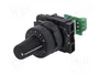 SCHNEIDER ELECTRIC Potenciómetro Harmony XB5 4,7kΩ Negro