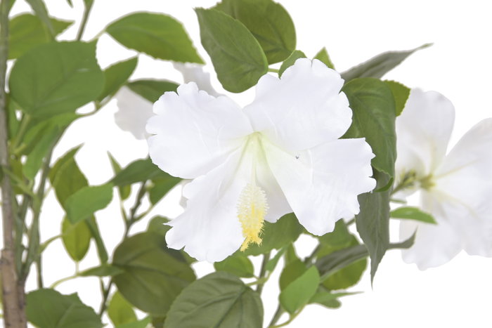 DKD Home Decor Planta de Poliéster y Cemento Hibisco Verde 60x60x160 cm DKD Home Decor Planta de Poliéster y Cemento Hibisco Verde 60x60x160 cm