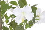 DKD Home Decor Planta de Poliéster y Cemento Hibisco Verde 60x60x160 cm