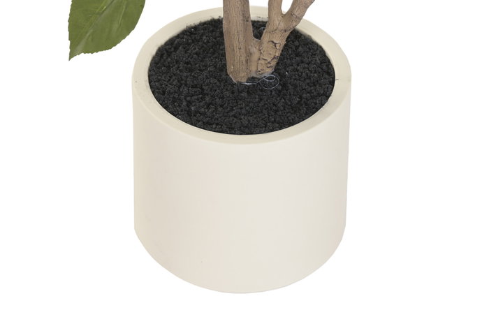 DKD Home Decor Planta de Poliéster y Cemento Hibisco Verde 60x60x160 cm DKD Home Decor Planta de Poliéster y Cemento Hibisco Verde 60x60x160 cm