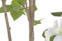 DKD Home Decor Planta de Poliéster y Cemento Hibisco Verde 60x60x160 cm