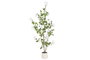DKD Home Decor Planta de Poliéster y Cemento Hibisco Verde 60x60x160 cm