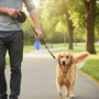 Inde Bolsas para Heces de Mascotas - 6 Rollos de 15 Unidades, Medidas 15.3 x 6.9 cm (24 Unidades)