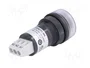 SCHNEIDER ELECTRIC Relé de tiempo Harmony XB5 22mm