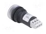SCHNEIDER ELECTRIC Relé de tiempo Harmony XB5 22mm