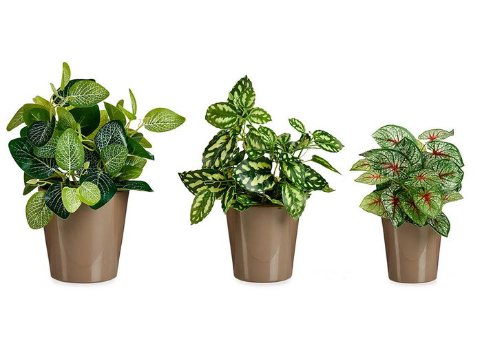 Ibergarden Set 3 Macetas Cerámica Cónica 11 cm, 14 cm, 17 cm Taupe (Set de 6)