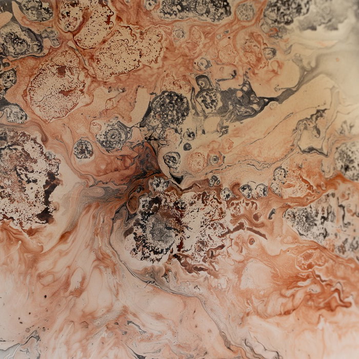 Centro Mesa Salmón Cristal Decoración 28 X 28 X 12 cm