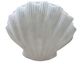 DKD Home Decor Lámpara de Sobremesa Mediterránea de Arenisca Cruda con Detalle de Concha 34x16x29 cm
