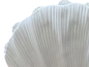 DKD Home Decor Lámpara de Sobremesa Mediterránea de Arenisca Cruda con Detalle de Concha 34x16x29 cm