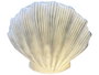 DKD Home Decor Lámpara de Sobremesa Mediterránea de Arenisca Cruda con Detalle de Concha 34x16x29 cm