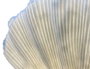 DKD Home Decor Lámpara de Sobremesa Mediterránea de Arenisca Cruda con Detalle de Concha 34x16x29 cm