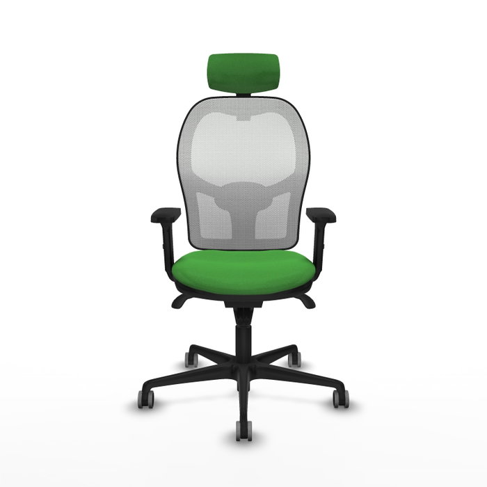 PIQUERAS Y CRESPO Silla de oficina Jorquera con mecanismo Sincro, Tela Verde y Malla Blanca