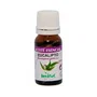 HERDIBEL Aceite Esencial de Eucalipto 10 ml