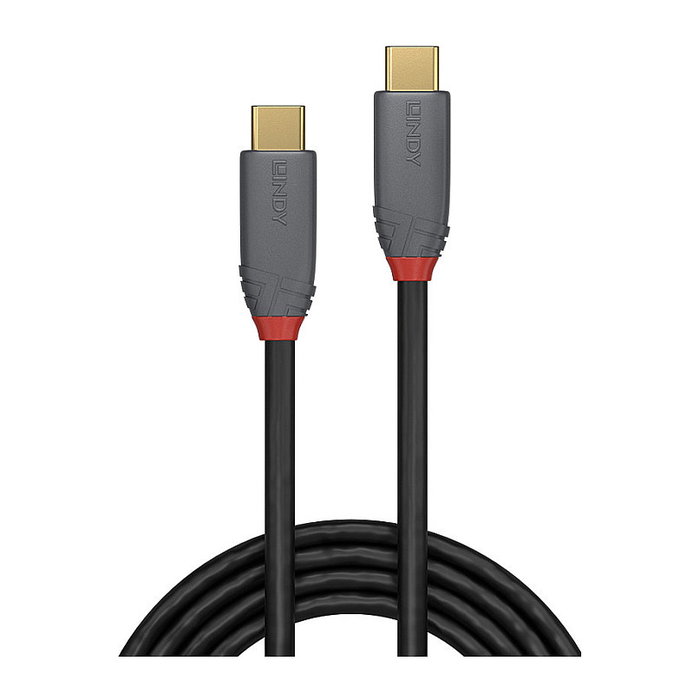 Lindy Cable USB C a USB C 36901, 1 m, 10 Gbit/s, Negro/Gris