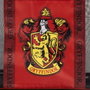 Cerdá Bolsa Playa Premium Harry Potter Gryffindor Rojo Oscuro