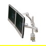 ROLINE LCD-Doppelarm Trägerstange 4 Gelenke Tischmontage, 17.03.1230, 2 Pantallas, 8 kg, 75x75 a 100x100 mm VESA, Plata