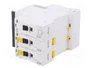 SCHNEIDER ELECTRIC Interruptor magnetotérmico iC60N 20A 3 polos Caract D