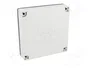 FIBOX MNX PC125/35LT Carcasa Universal de Policarbonato Gris