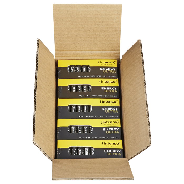 Intenso Pilas Alcalinas AAA LR03 Pack de 100 unidades