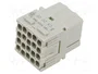 ILME MIXO Conector HDC Plantilla de Contacto Hembra 20 PIN
