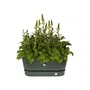 Elho Greenville Terrase 80 Ruedas Jardinera Verde Hoja L 35 x W 78 x H 33,5 cm
