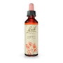 Bach Original Aspen (Álamo Temblón) 20 ml