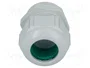 LAPP Sello aislante SKINTOP® M32 gris