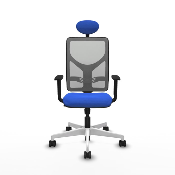 PIQUERAS Y CRESPO Silla de oficina Motilla con mecanismo Sincro, Azul y Gris PIQUERAS Y CRESPO Silla de oficina Motilla con mecanismo Sincro, Azul y Gris