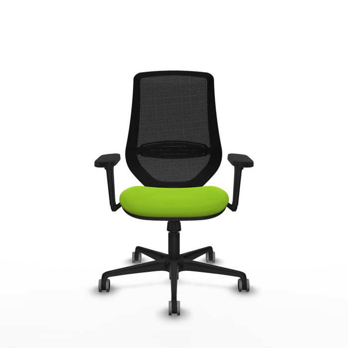 PIQUERAS Y CRESPO Silla de oficina Mardos con mecanismo Sincro, Pistacho y Negro PIQUERAS Y CRESPO Silla de oficina Mardos con mecanismo Sincro, Pistacho y Negro