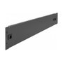 DeLOCK Cubierta ciega 2 HE para gabinete de red 19″, Negro