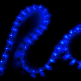 Cordón LED Azul 220VAC IP65 24xF3/M (1m) CA-COR-220-B