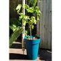 Riviera RIV3580794153061 Jardinera Plástico Azul Alto 53 cm