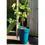 Riviera RIV3580794153061 Jardinera Plástico Azul Alto 53 cm