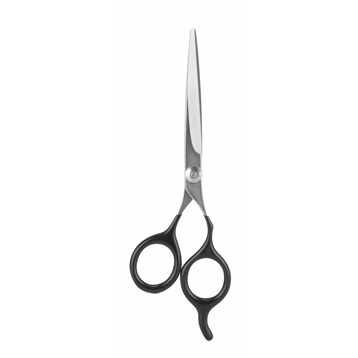 Beter Tijeras de Peluquería Inoxidables 15 cm