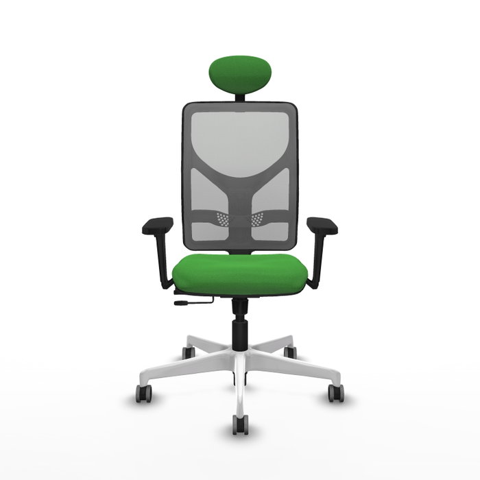 PIQUERAS Y CRESPO Silla de oficina Motilla con mecanismo Sincro/Traslack, Verde y Gris PIQUERAS Y CRESPO Silla de oficina Motilla con mecanismo Sincro/Traslack, Verde y Gris