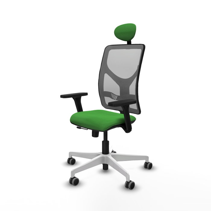 PIQUERAS Y CRESPO Silla de oficina Motilla con mecanismo Sincro/Traslack, Verde y Gris PIQUERAS Y CRESPO Silla de oficina Motilla con mecanismo Sincro/Traslack, Verde y Gris