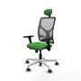 PIQUERAS Y CRESPO Silla de oficina Motilla con mecanismo Sincro/Traslack, Verde y Gris