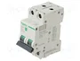 SCHNEIDER ELECTRIC Easy9 Pro Interruptor magnetotérmico 20A 2 polos 6kA