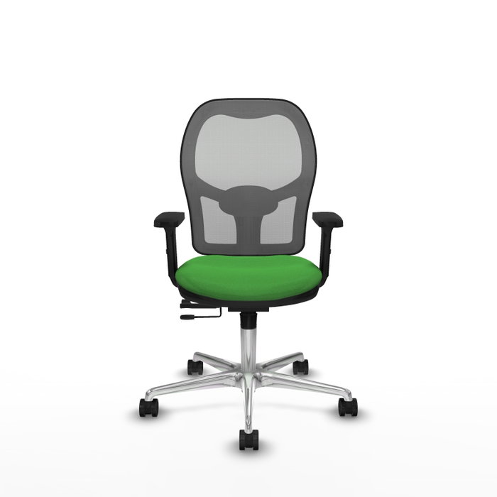 PIQUERAS Y CRESPO Silla de oficina Jorquera con mecanismo Sincro/Traslack, Verde y Gris