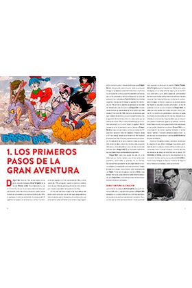 ¡Luz, Fuego, Destruccion! La Gran Aventura De Dragon Ball (1 De 2)