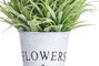 IBERGARDEN Planta Lavanda Bote Metal 22cm