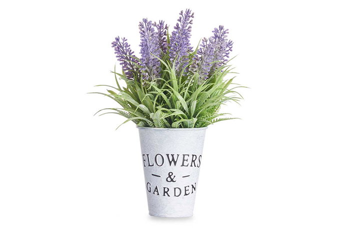 IBERGARDEN Planta Lavanda Bote Metal 22cm IBERGARDEN Planta Lavanda Bote Metal 22cm