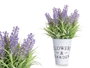 IBERGARDEN Planta Lavanda Bote Metal 22cm