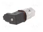 DANFOSS MBS 3000 Transductor de presión 0÷4bar 4÷20mA G1/4 la IP65