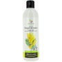 ARMONIA Champú Regenerador Anticaída sin Sulfatos 250 ml