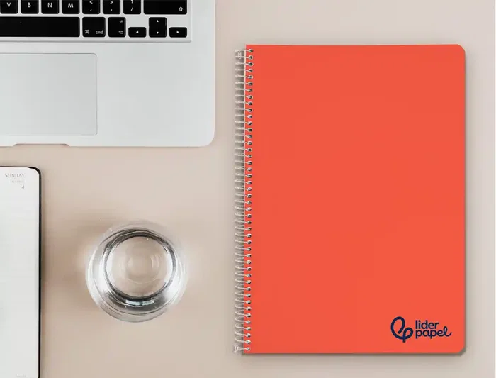 Liderpapel Cuaderno espiral Wonder A4 tapa plástico 80 hojas 90gr rayado nº46 colores surtidos