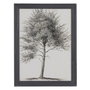 Cuadro Impresión Árbol 2/M 45 X 2,50 X 60 cm (Set de 2)