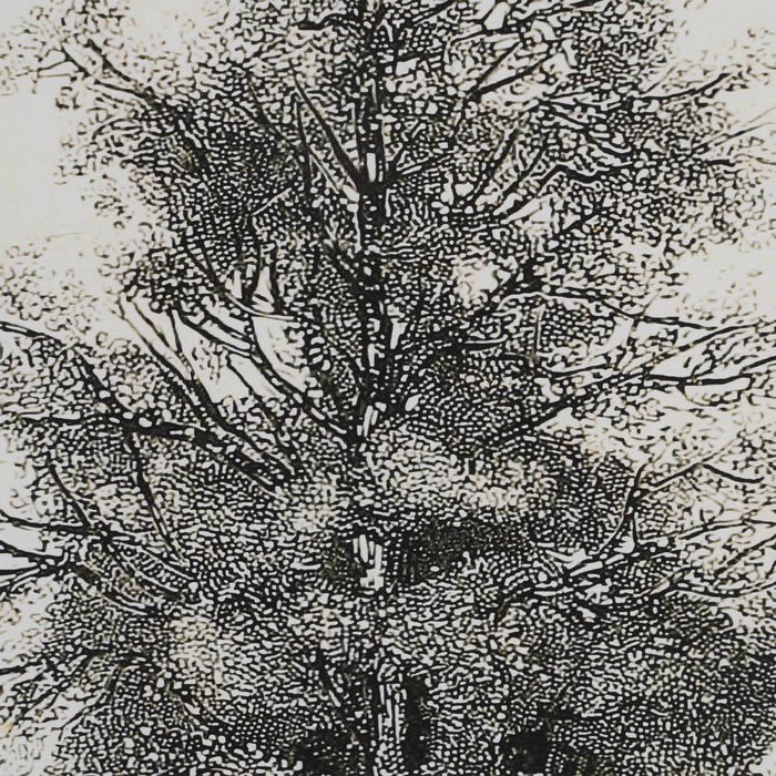 Cuadro Impresión Árbol 2/M 45 X 2,50 X 60 cm (Set de 2)